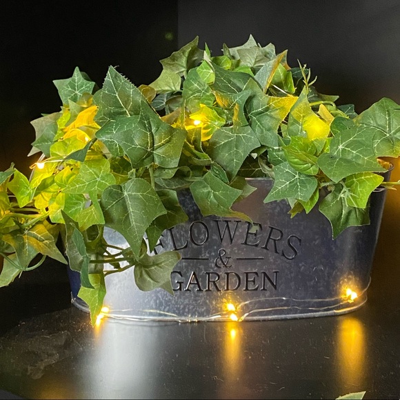 Spring Decor Planter (3) Metal Tins Rustic Farmhouse Vintage flowers & Garden - Picture 3 of 5